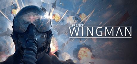 僚机计划/Project Wingman-飞雪acg论坛